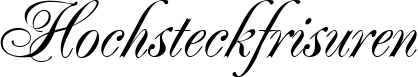 Hochsteckfrisuren - Logo